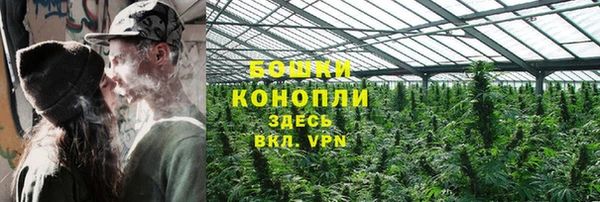 ECSTASY Новозыбков