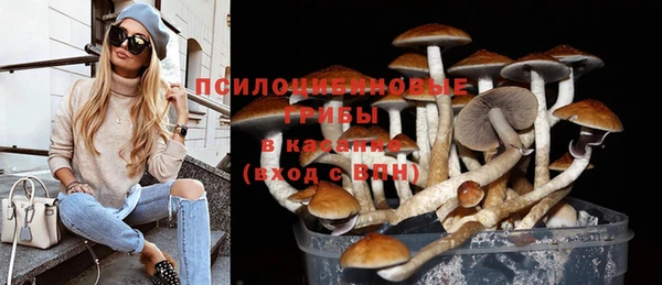 мескалин Гусев