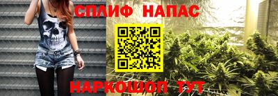 метадон Кингисепп